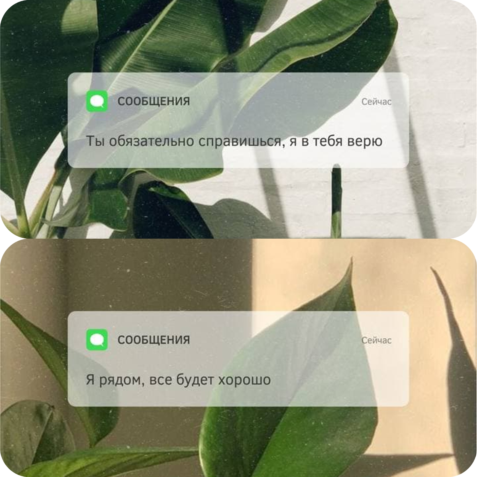сообщение важно поддержка