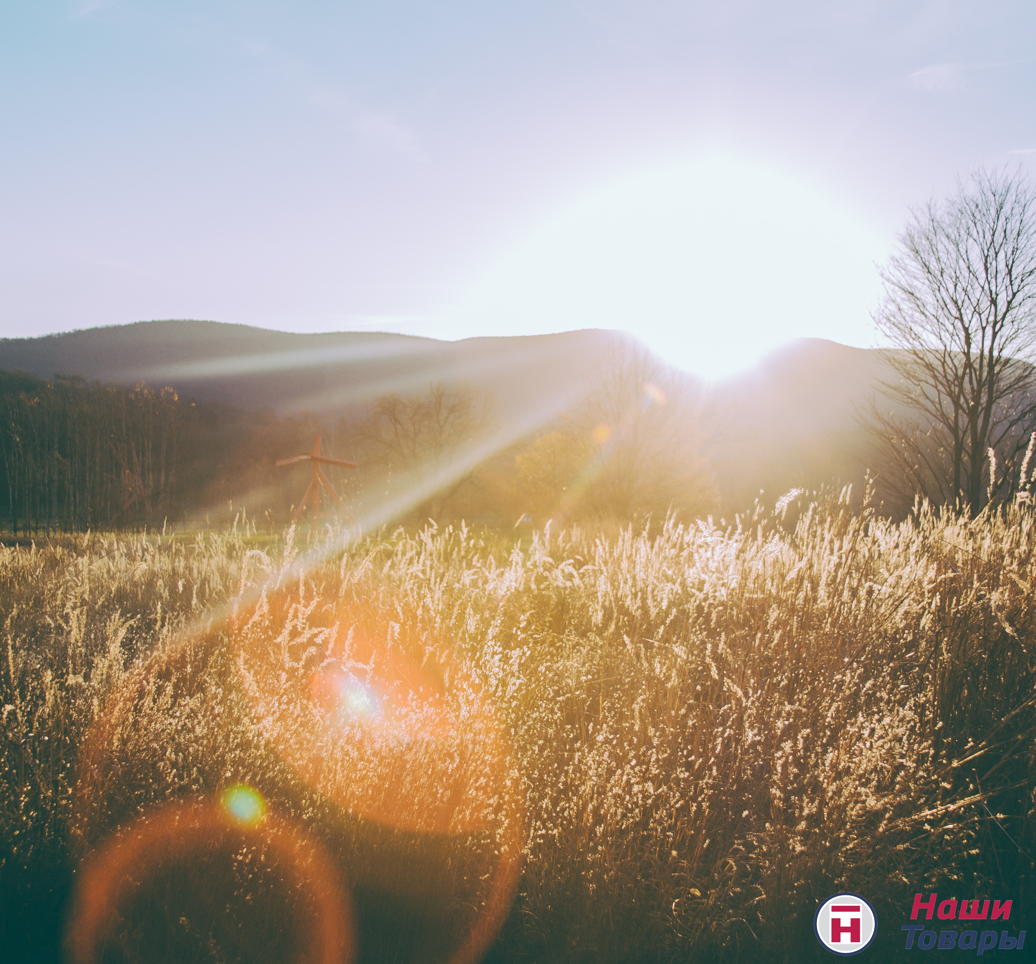 6 полезных утренних привычек