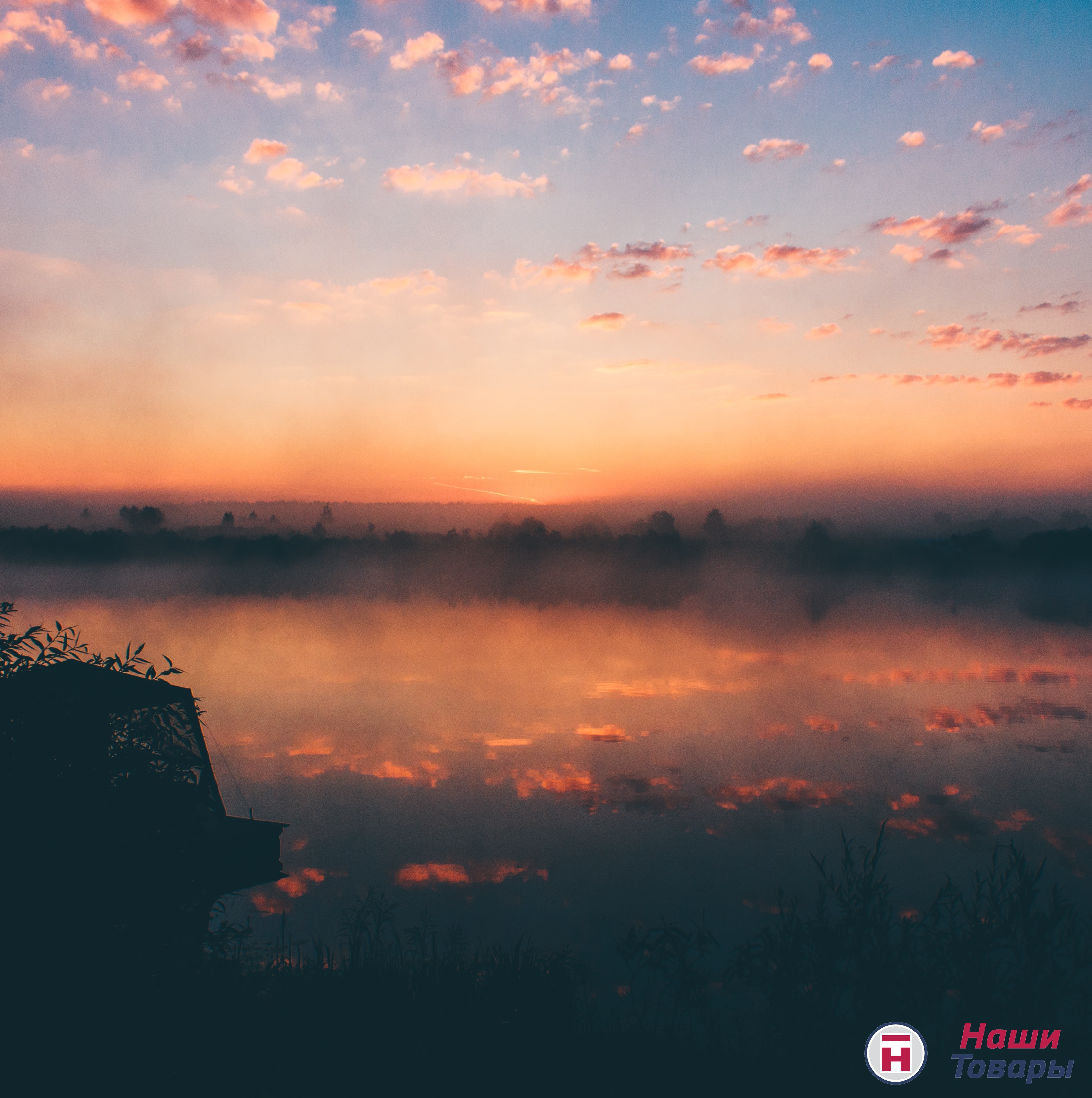 Только сегодня