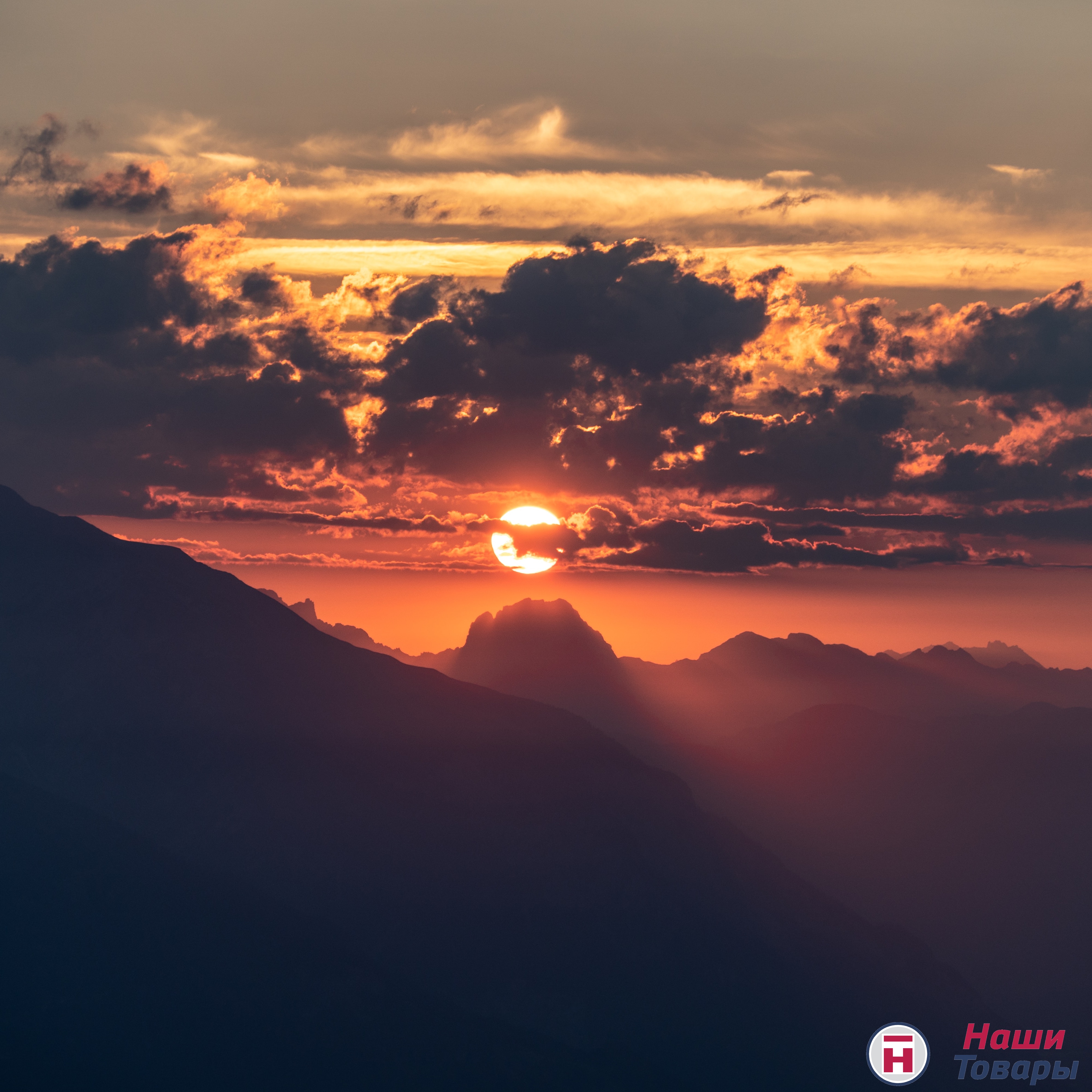 Только сегодня