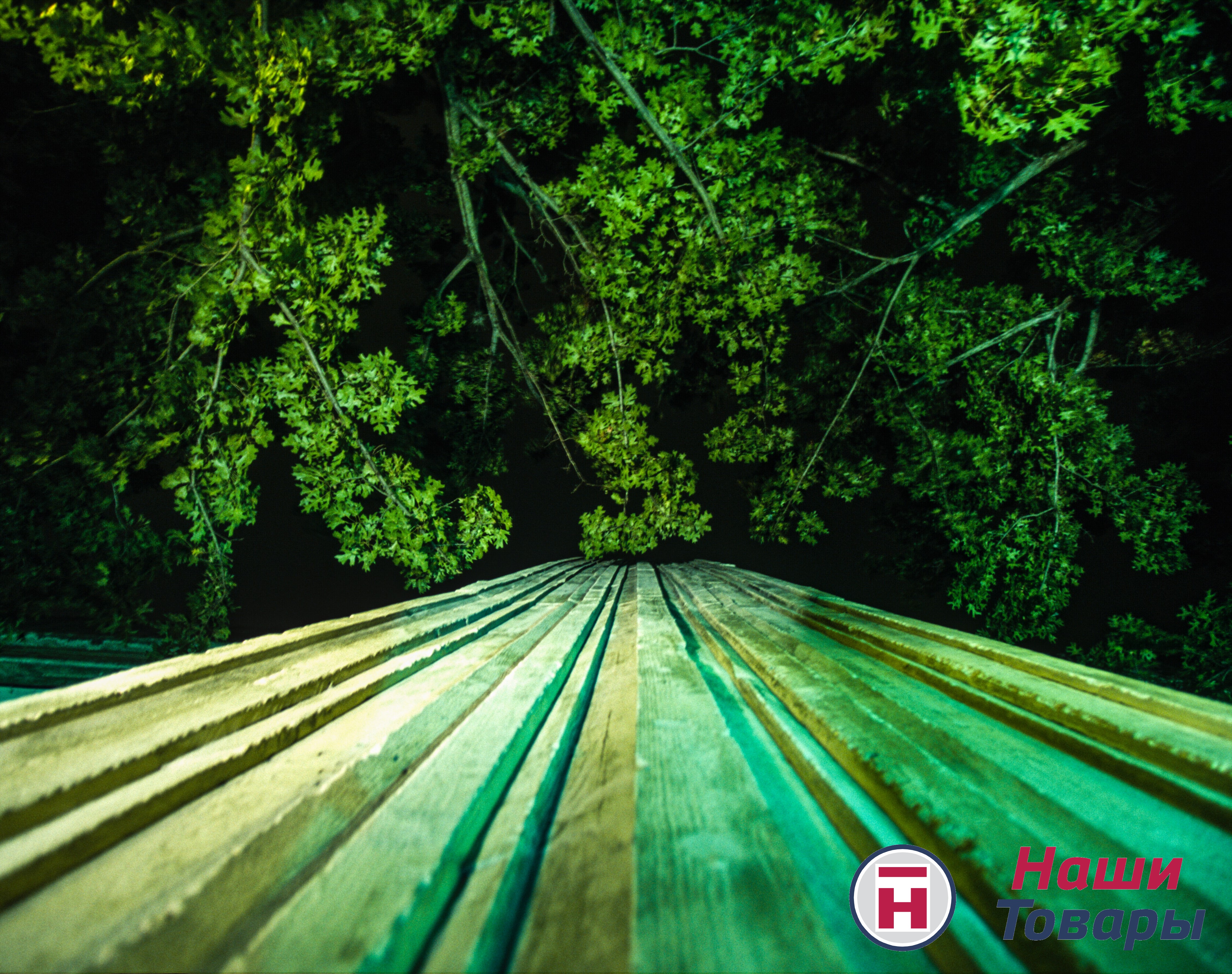 зелень трава цветы