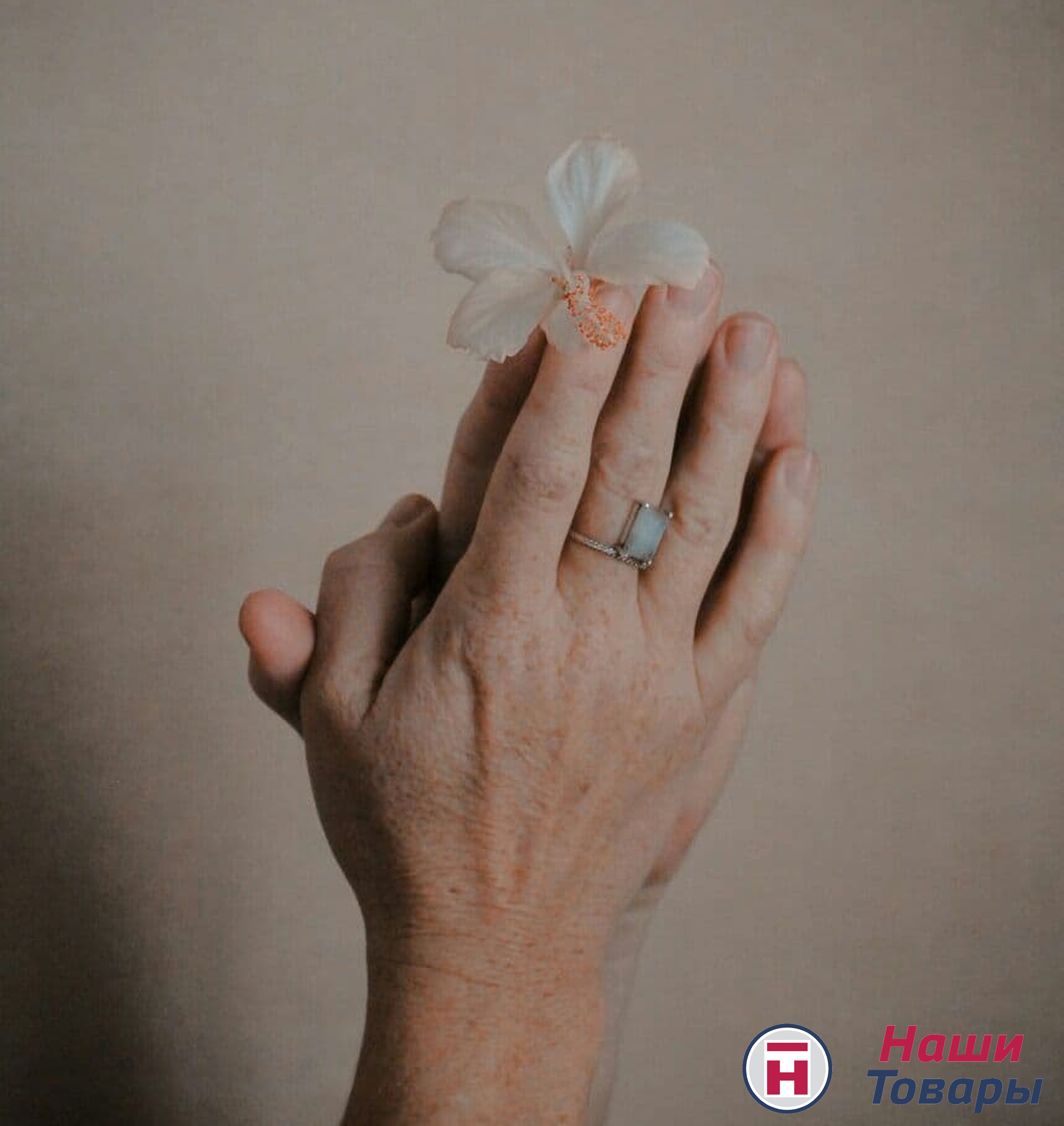 руки цветок женщина