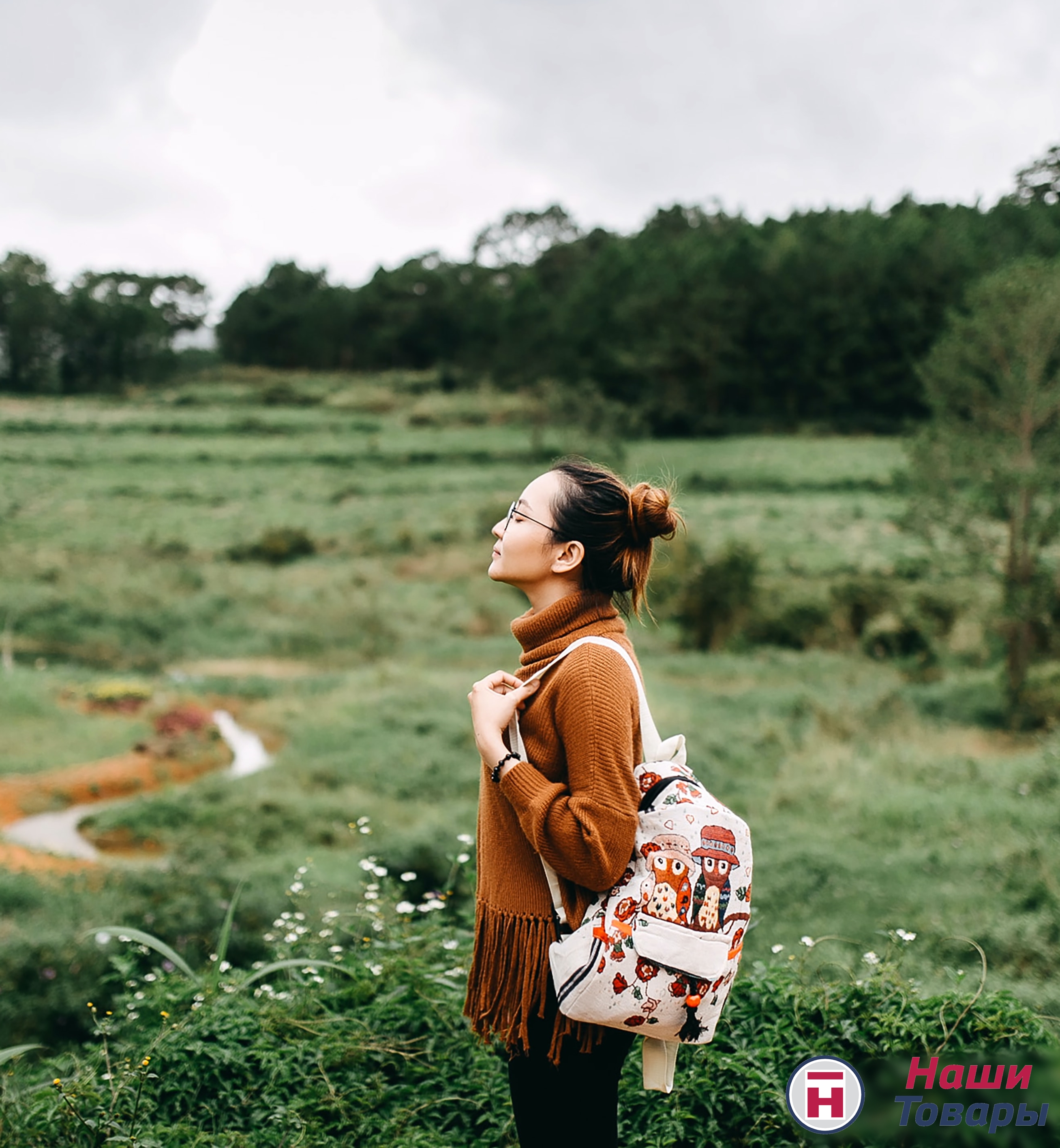 лес прогулка красота природа