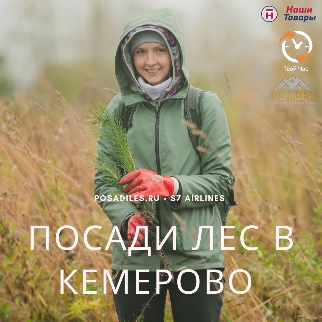 лес лесопосадка