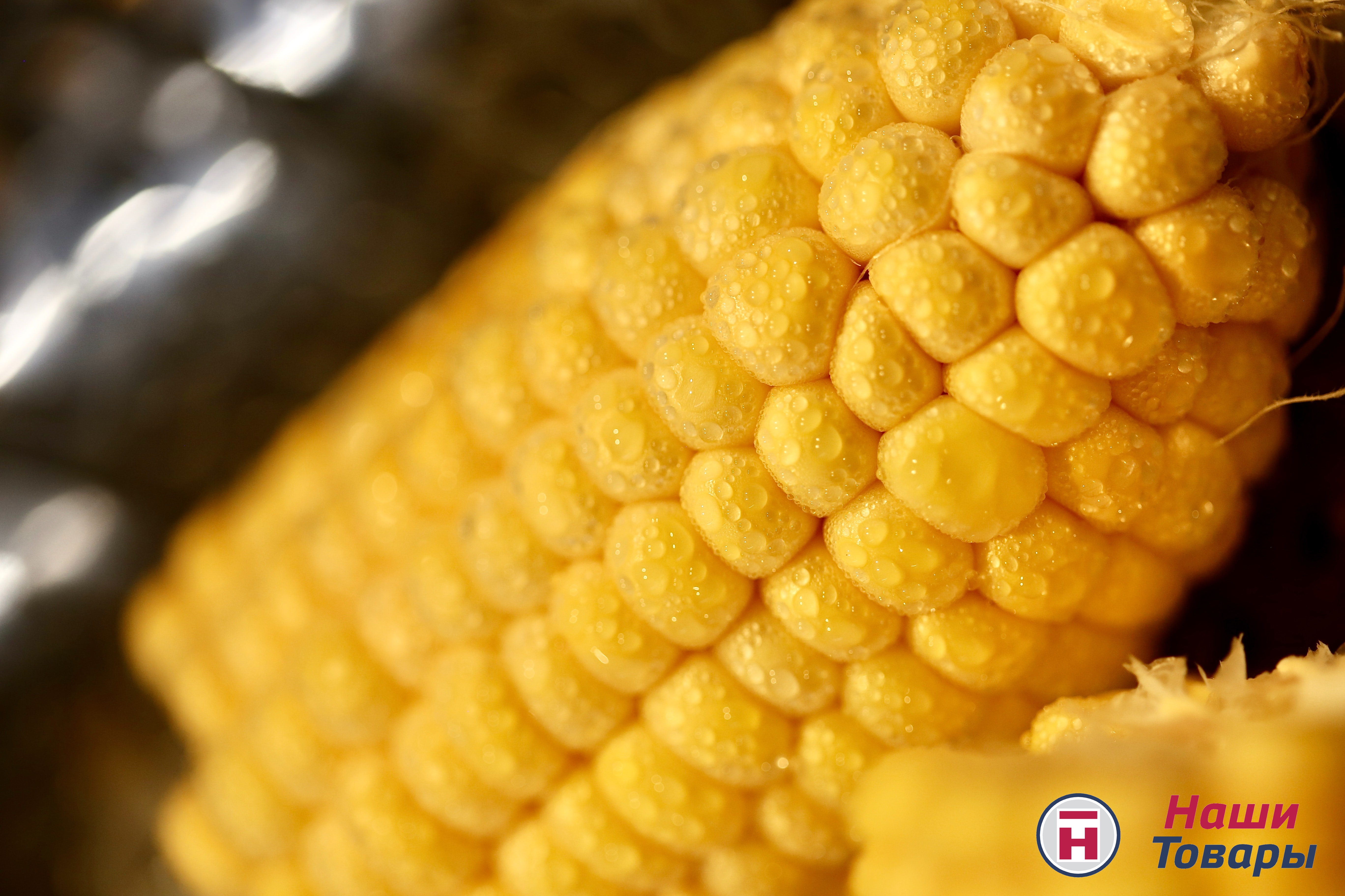 кукуруза осень свежесть сок роса вода