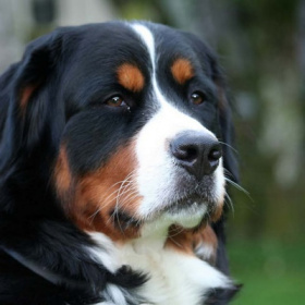 skb9-jp6qyb3oij48evxc6cuir-mtvggd9zq3cl8b01f1-xen_8mbwhjtstp-v6fketwtweb--1apkmurafsvyjp