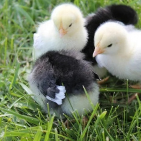 v8w7otpgvyseoa0fpljv_rq7uoah792d3w-fw3ct0q9qlrbmhg9z9n9xoy-pmcwjy3x7xncqoeq5_gsgpegxm0-3